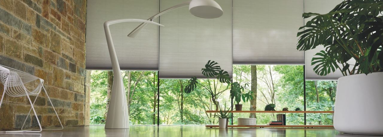 Voldikkardinad erimõõdus