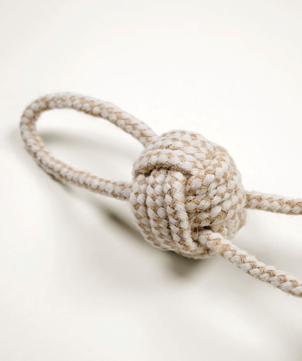 Koeramänguasi valge - 14x5x5 cm valge - 1