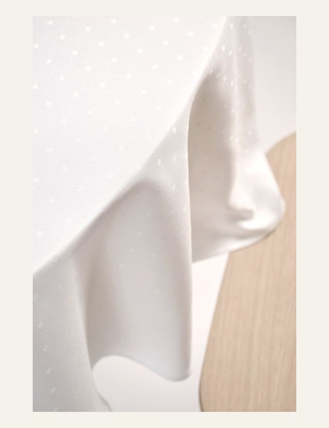 Ümmargune laudlina valge - 2