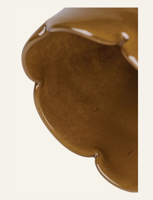 Küünlalatern pruun - 4