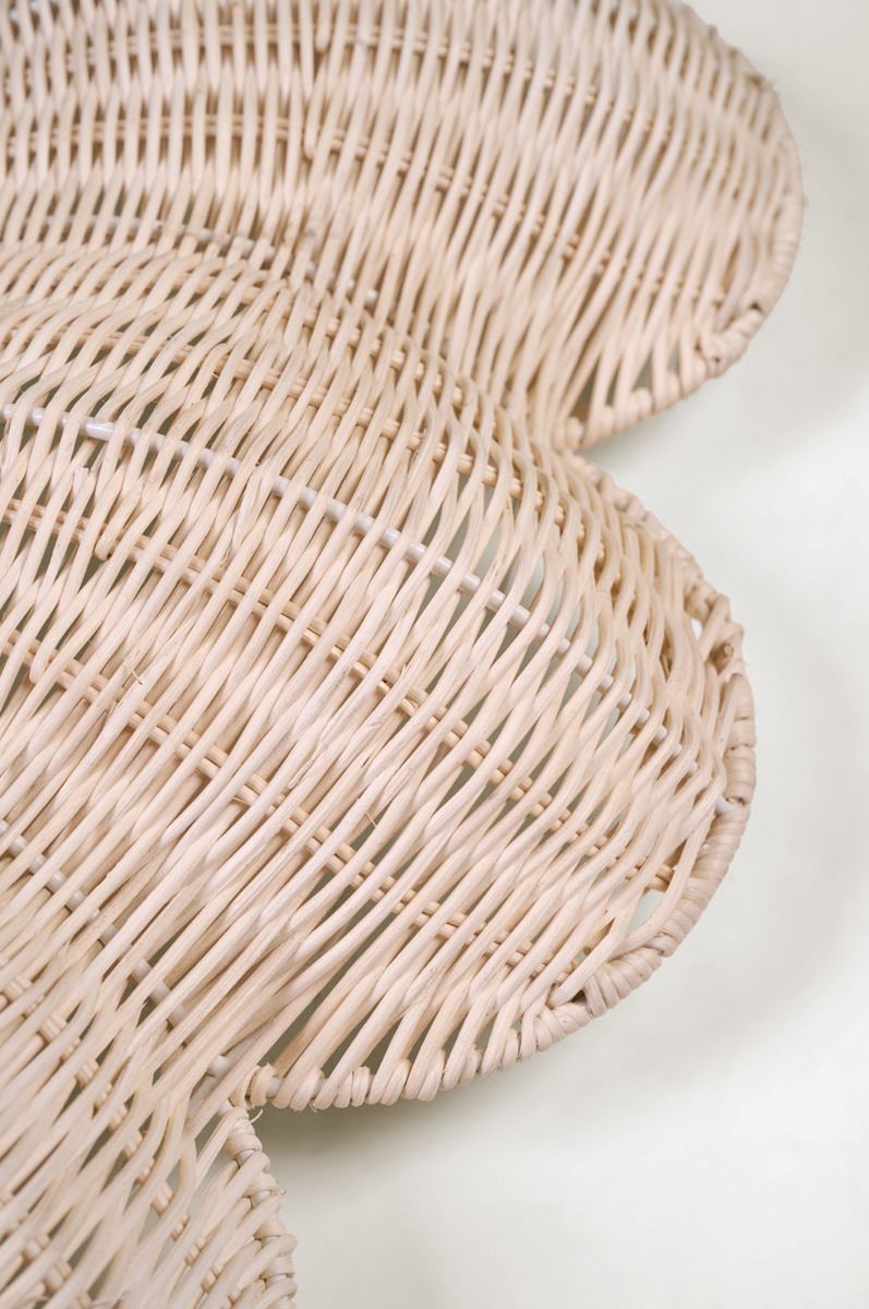 Peegel hele natuur - 2