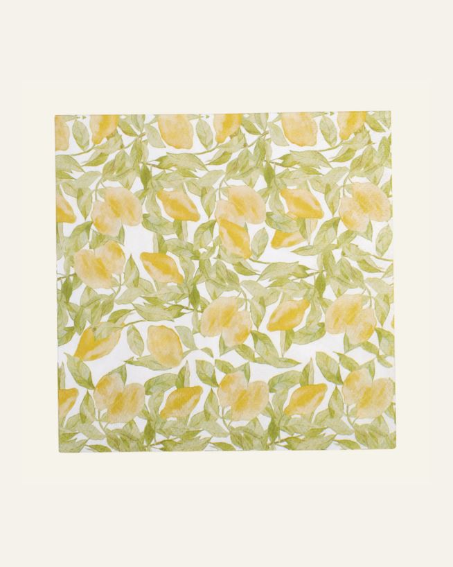 Pabersalvrätikud mitmevärviline/kollane - 33x33 cm mitmevärviline/kollane - 1