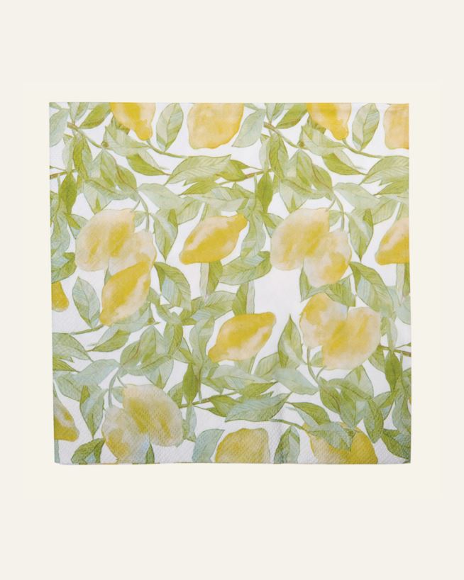 Õhtusöögi salvrätikud mitmevärviline/kollane - 40x40 cm mitmevärviline/kollane - 1