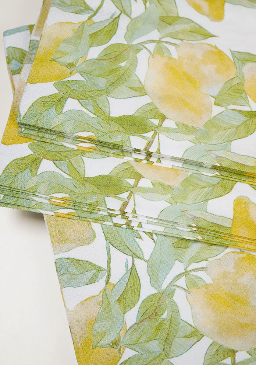 Õhtusöögi salvrätikud mitmevärviline/kollane - 2