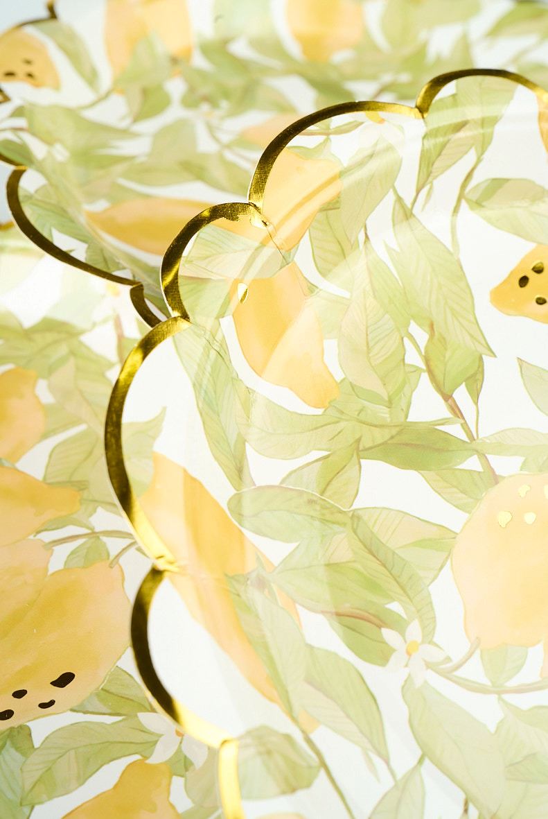 Paberist plaadid 8pk mitmevärviline/kollane - 2