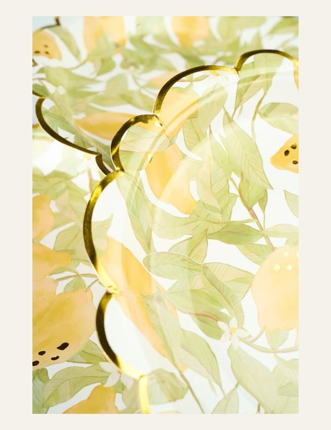 Paberist plaadid 8pk mitmevärviline/kollane - 2