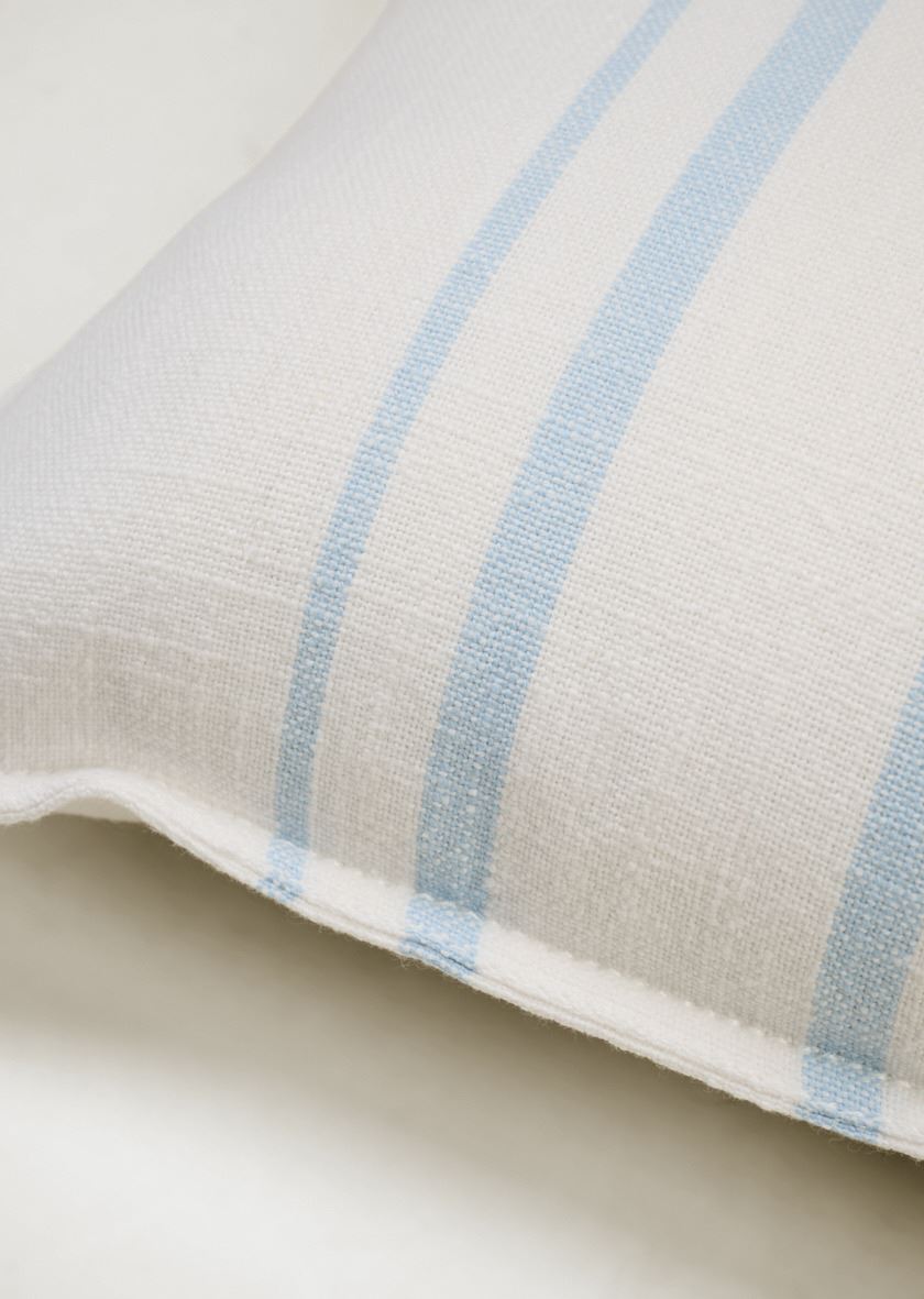 Dekoratiivpadi taevasinine - 2