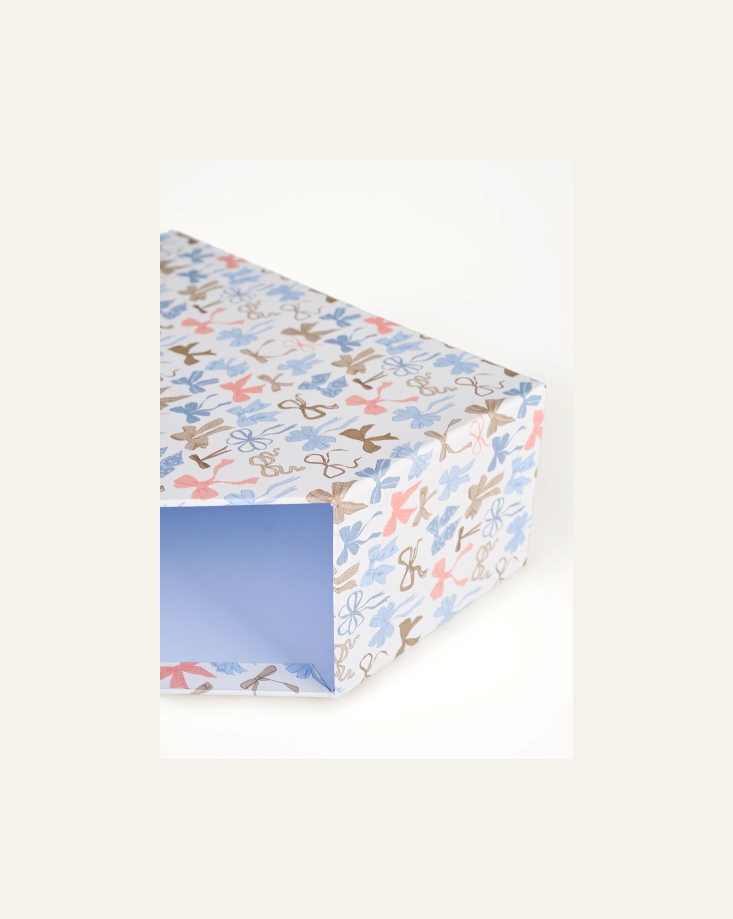 Ajalehehoidja mitmevärviline - 4