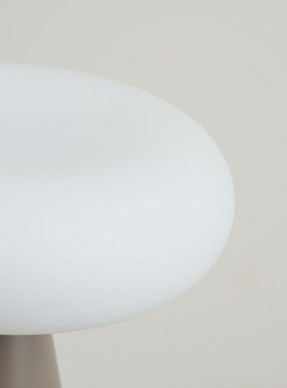 Patareitoitel valgusti hele pruun - 4