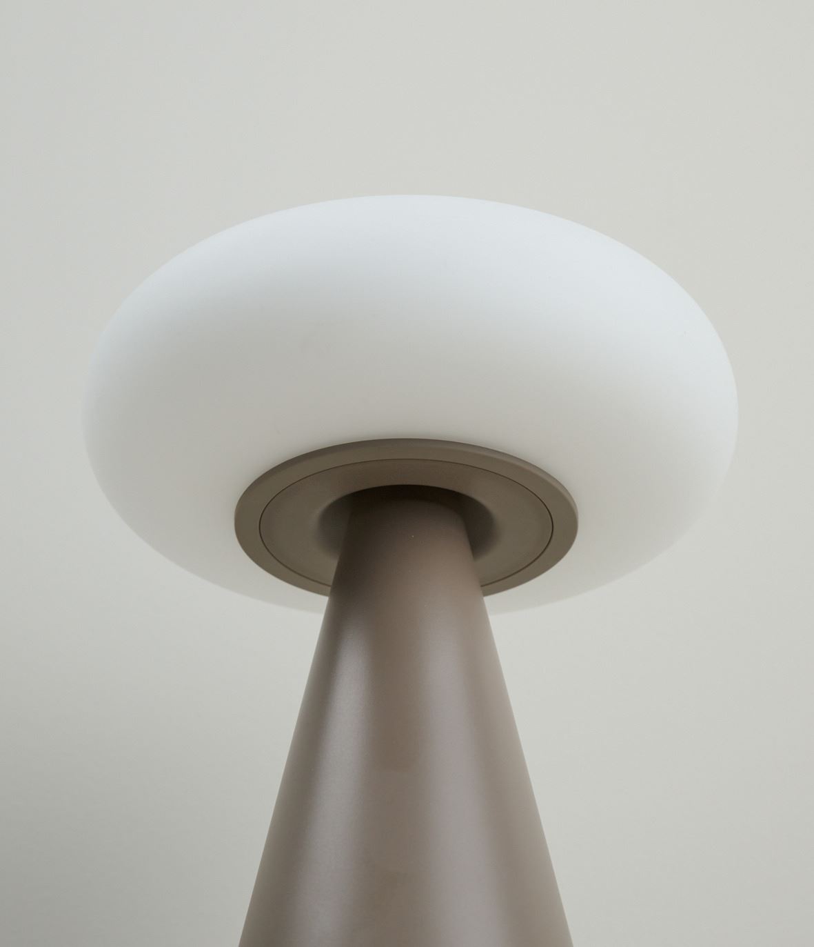 Patareitoitel valgusti hele pruun - 3