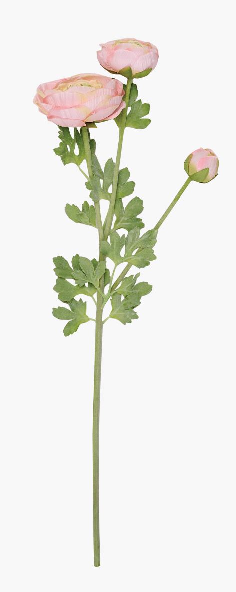 Lill hele korall - 18x14x63,5 cm hele korall - 1