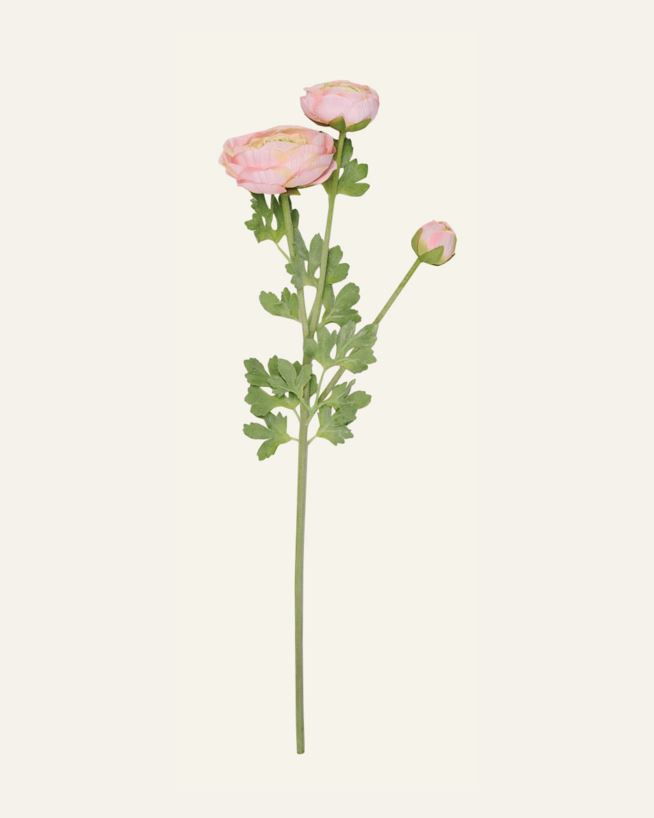 Lill hele korall - 18x14x63,5 cm hele korall - 1