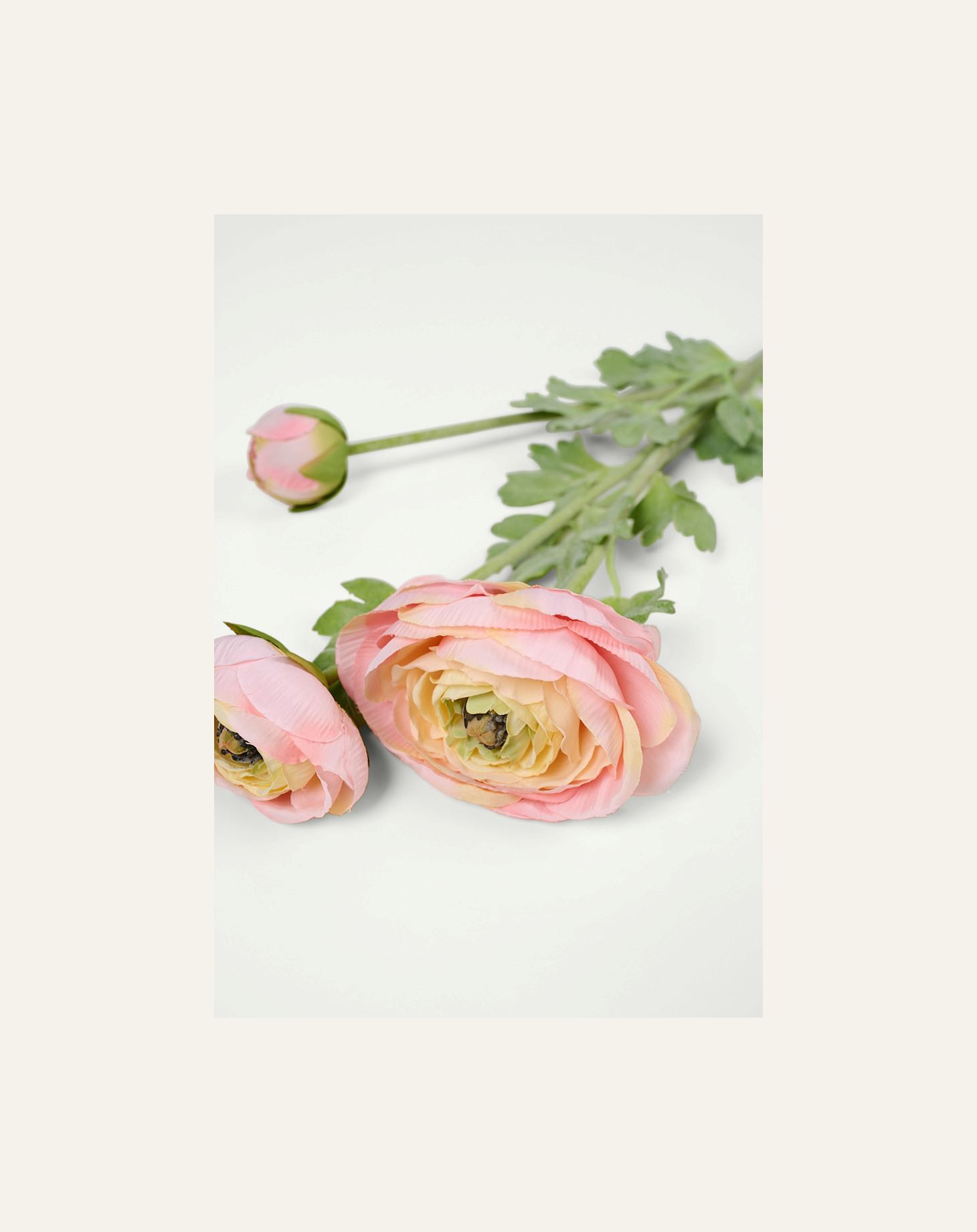 Lill hele korall - 2