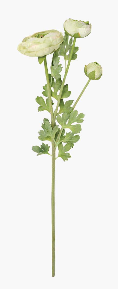 Lill roheline - 18x14x63,5 cm roheline - 1