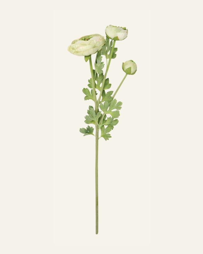 Lill roheline - 18x14x63,5 cm roheline - 1