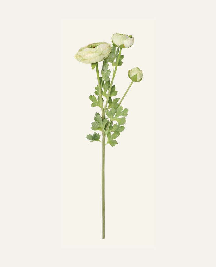 Lill roheline - 18x14x63,5 cm roheline - 1