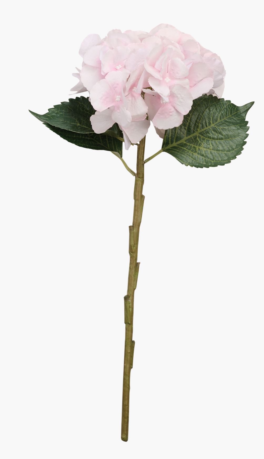 Lill roosa - 18x18x46 cm roosa - 1