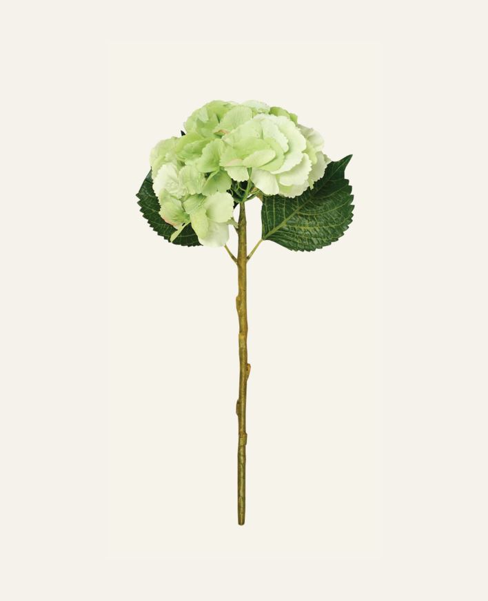 Lill roheline - 18x18x46 cm roheline - 1