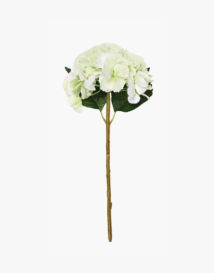 Lill heleroheline - 18x18x46 cm heleroheline - 1