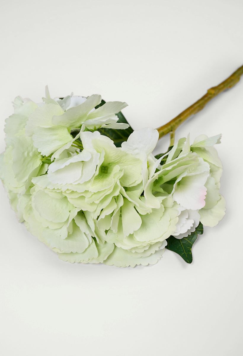 Lill heleroheline - 2