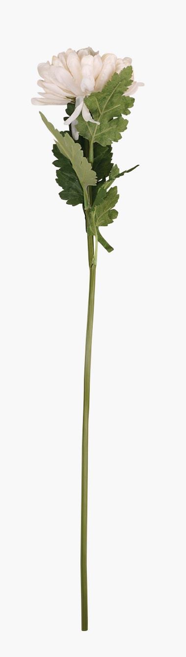 Lill valge - 19x17x71 cm valge - 1