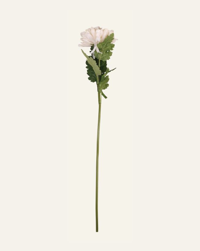 Lill valge - 19x17x71 cm valge - 1