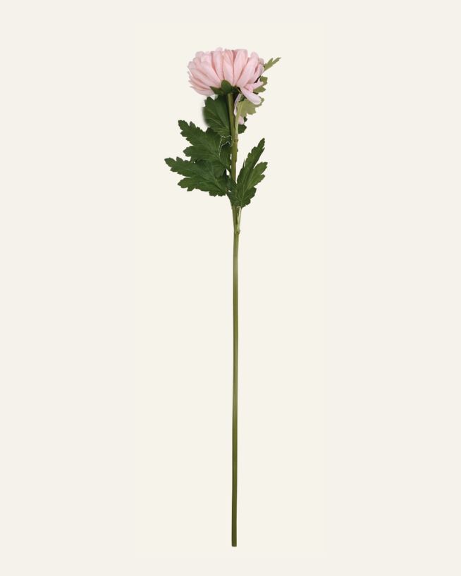 Lill hele roosa - 19x17x71 cm hele roosa - 1