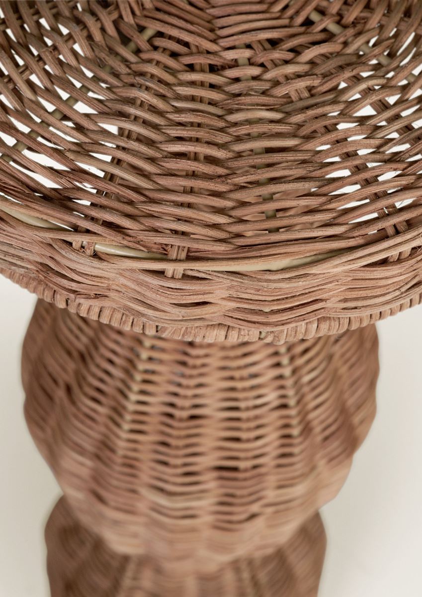 Abilaud naturaalne toon - 5