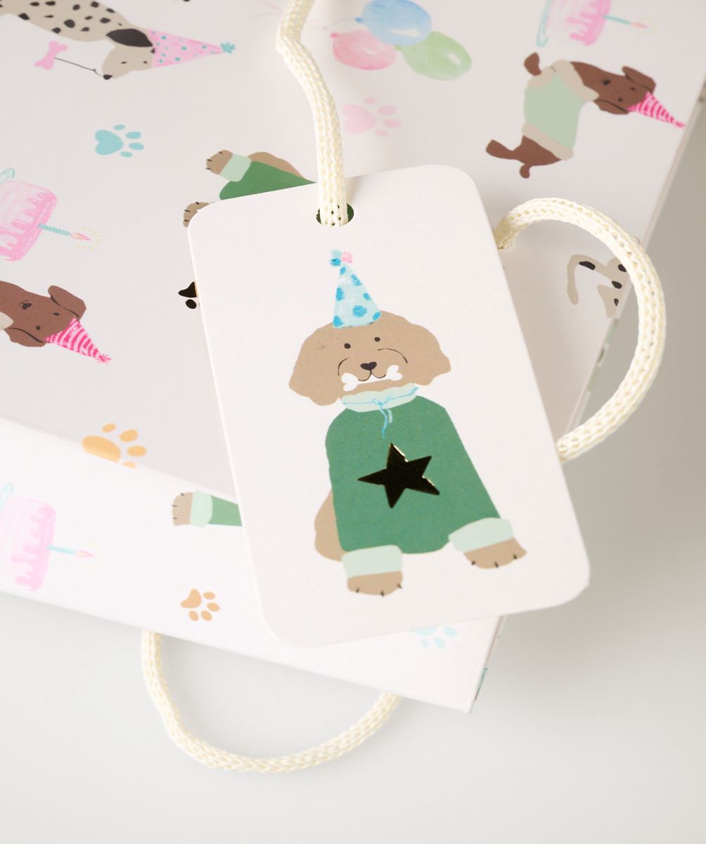 Kinkekott mitmevärviline/valge - 2