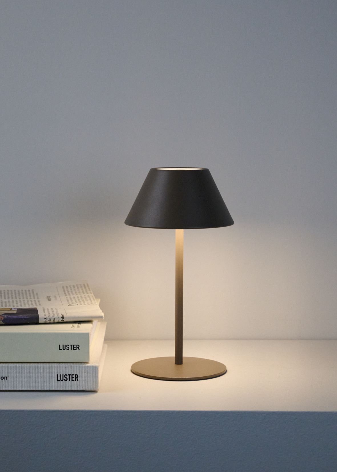 Patareitoitel valgusti pruun - 3