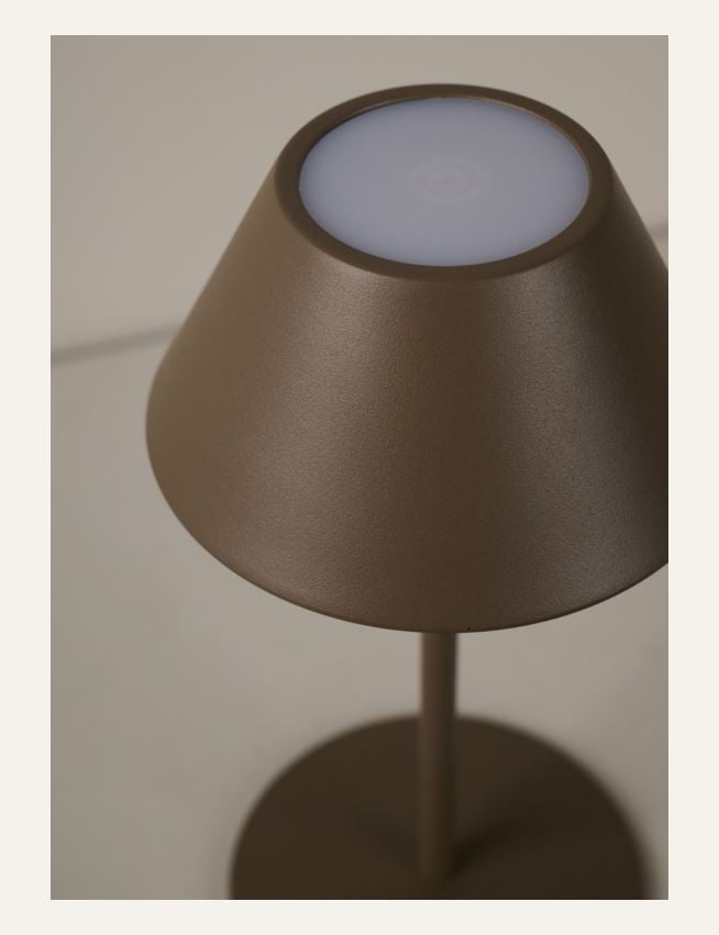 Patareitoitel valgusti pruun - 5