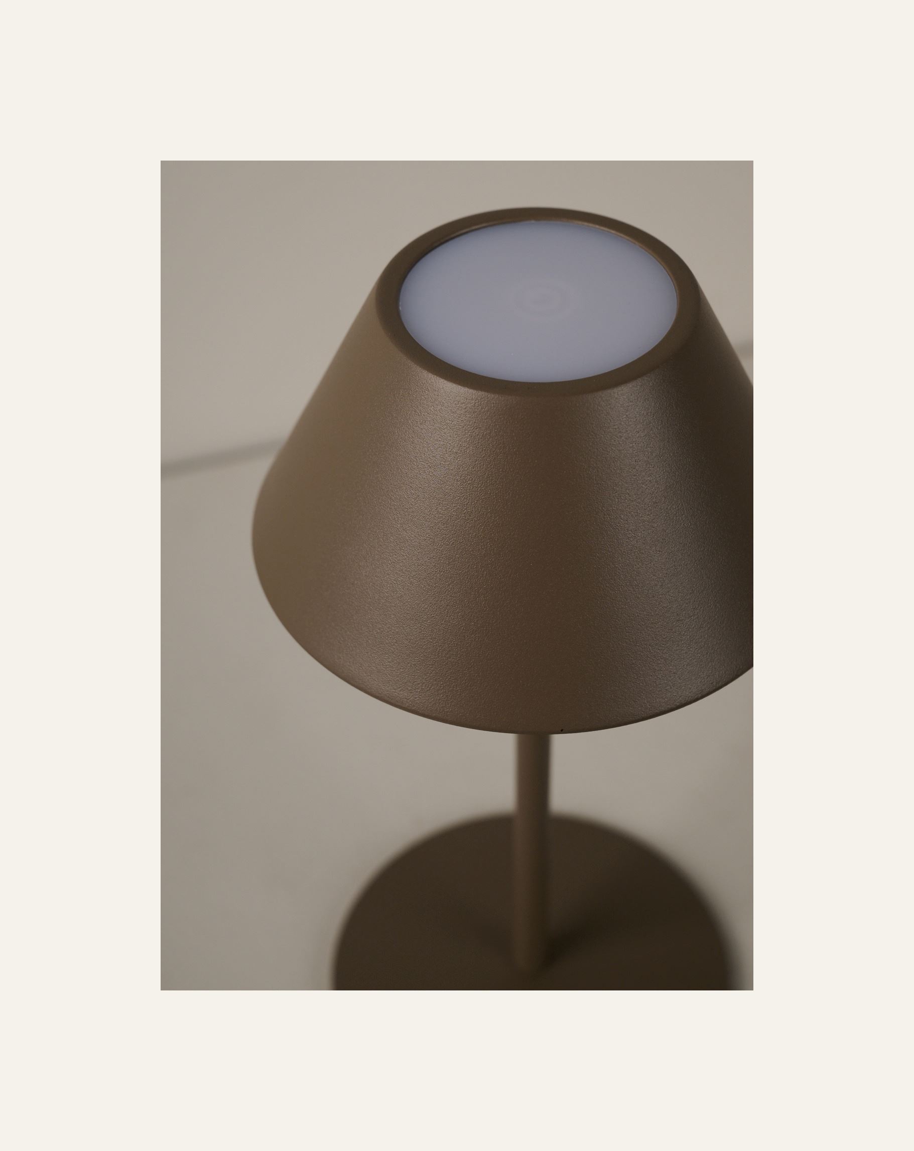 Patareitoitel valgusti pruun - 5