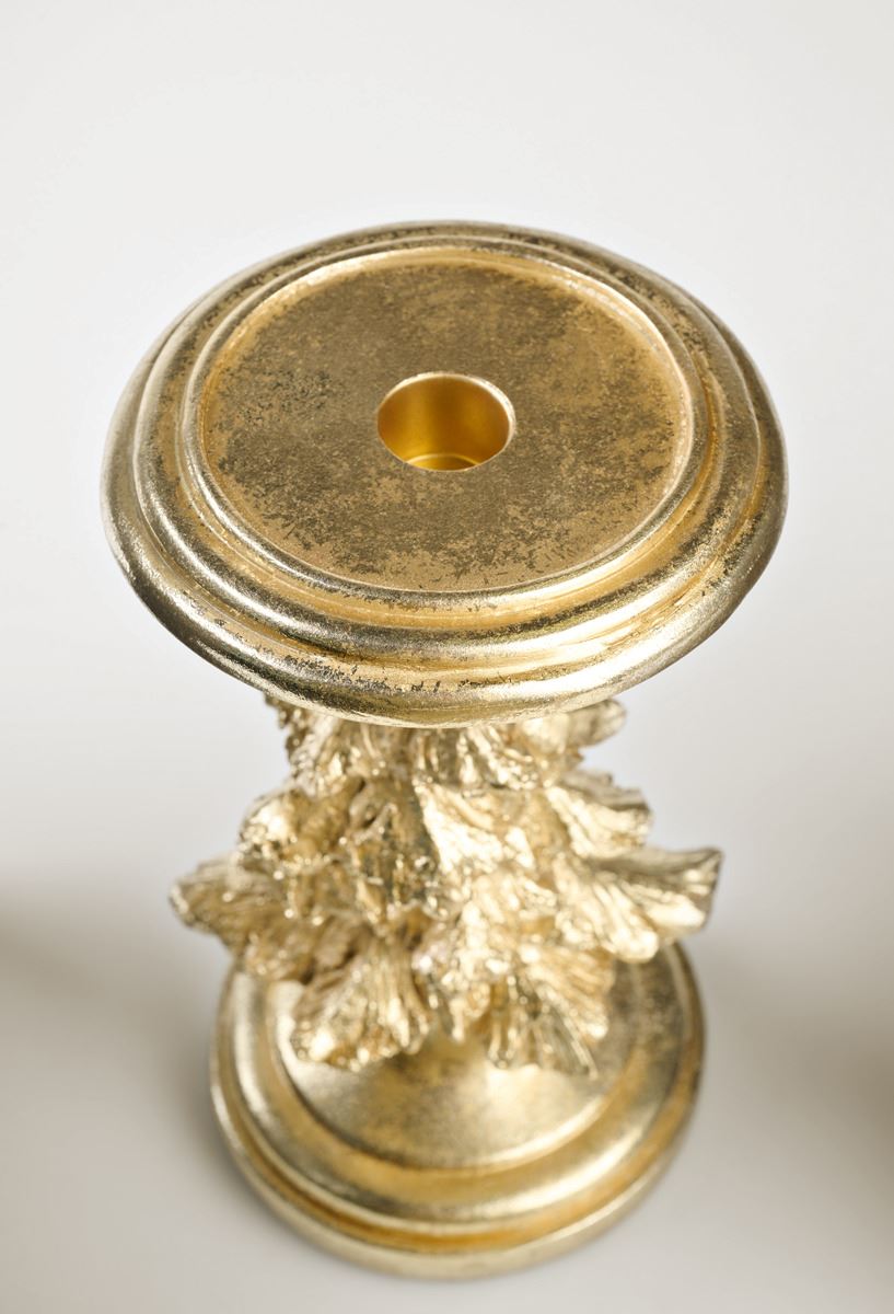 Küünlajalg kuldne - 4