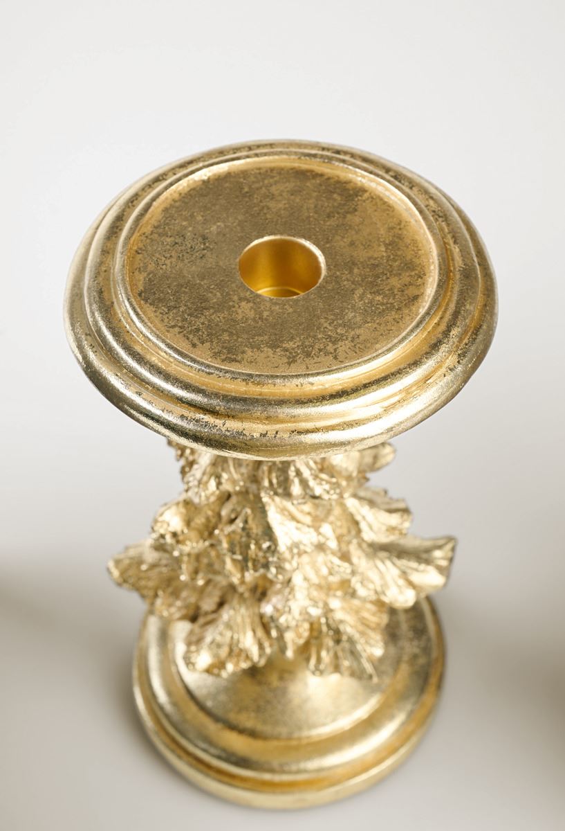 Küünlajalg kuldne - 3