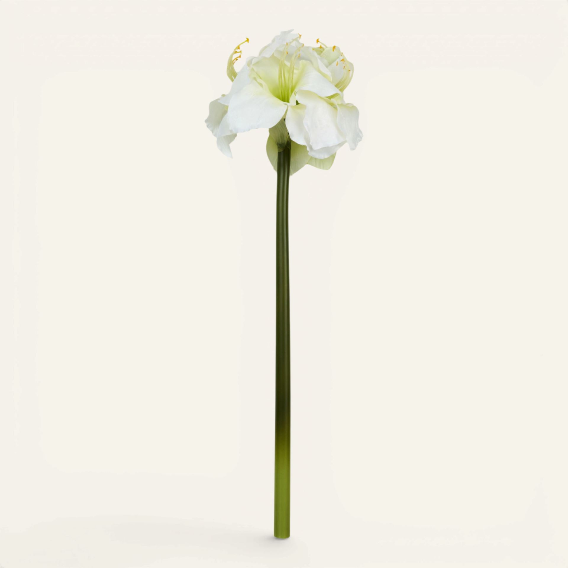 Lill valge - 25x22x61 cm valge - 1