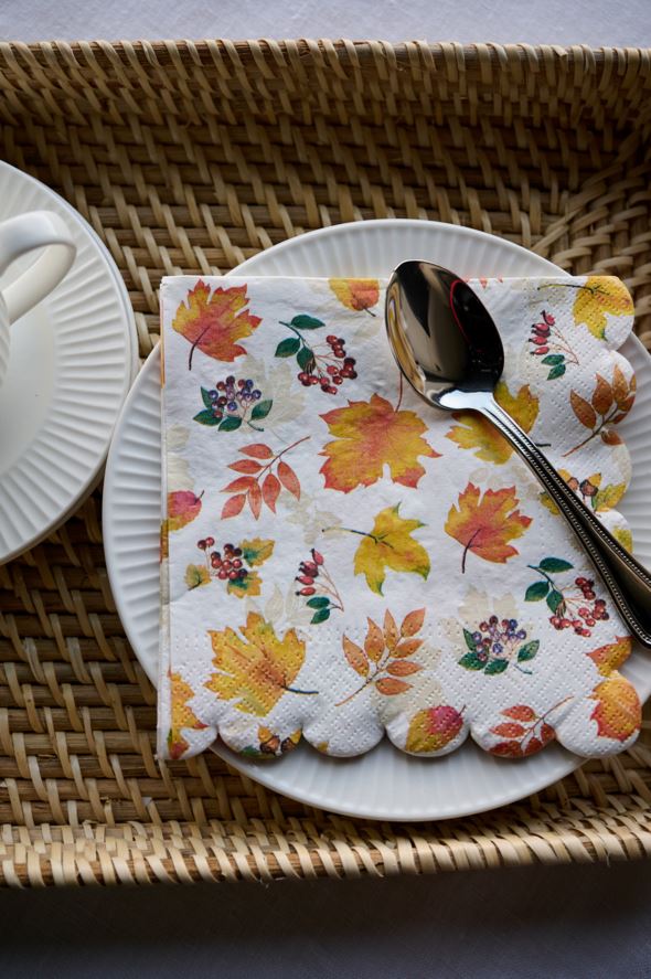 Pabersalvrätikud mitmevärviline - 3