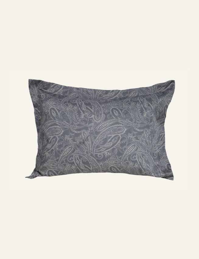 Padjapüür hall - 2