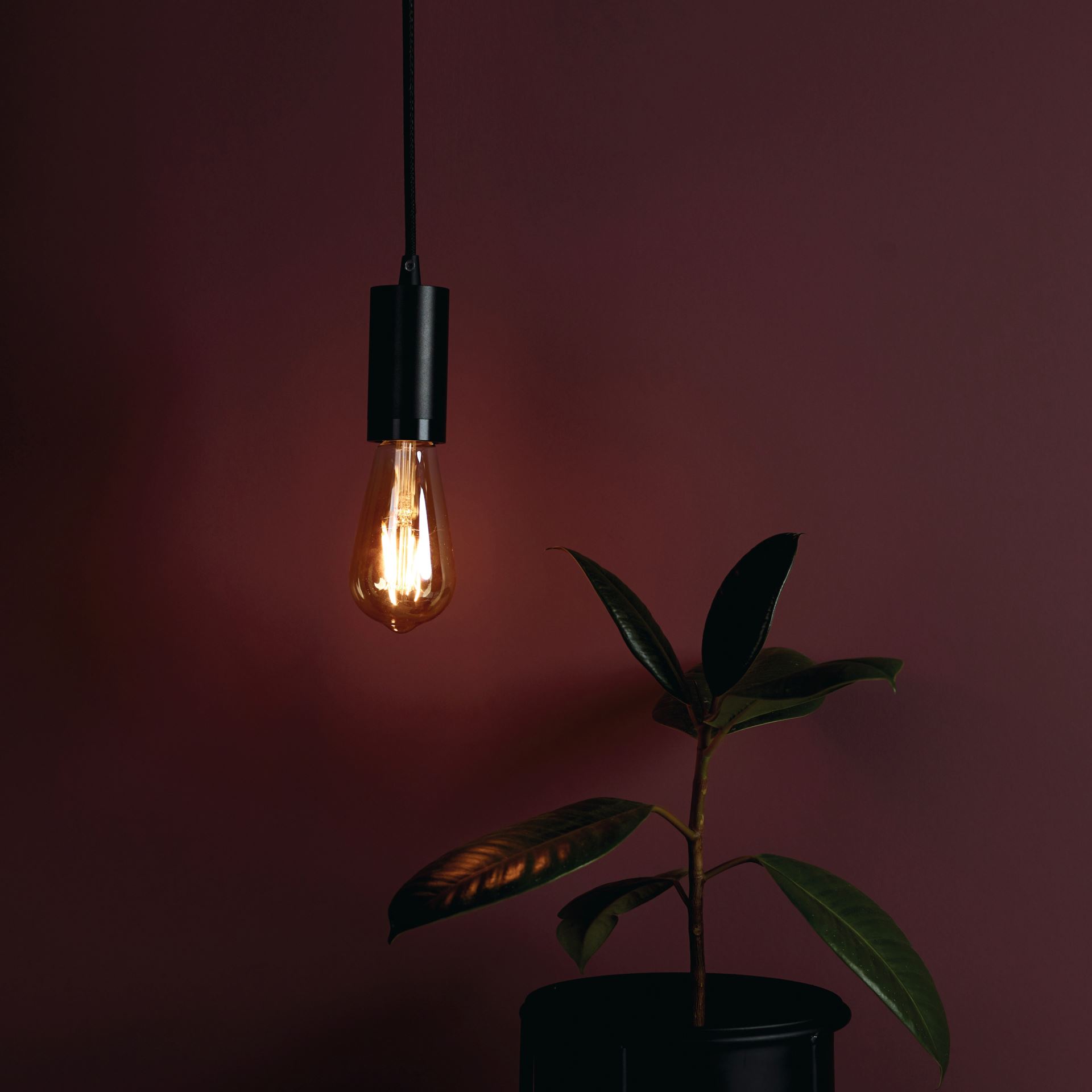 Juhtmekomplekt must - 2