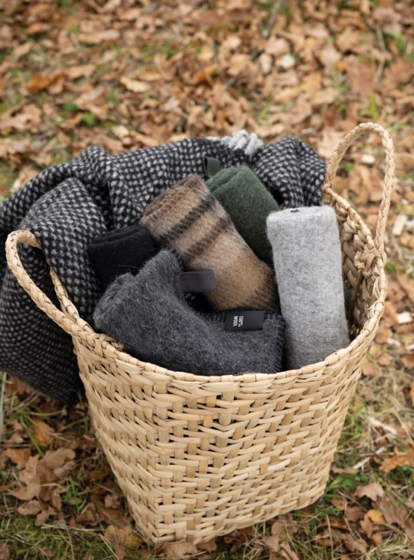 Istmealus tumehall - 4