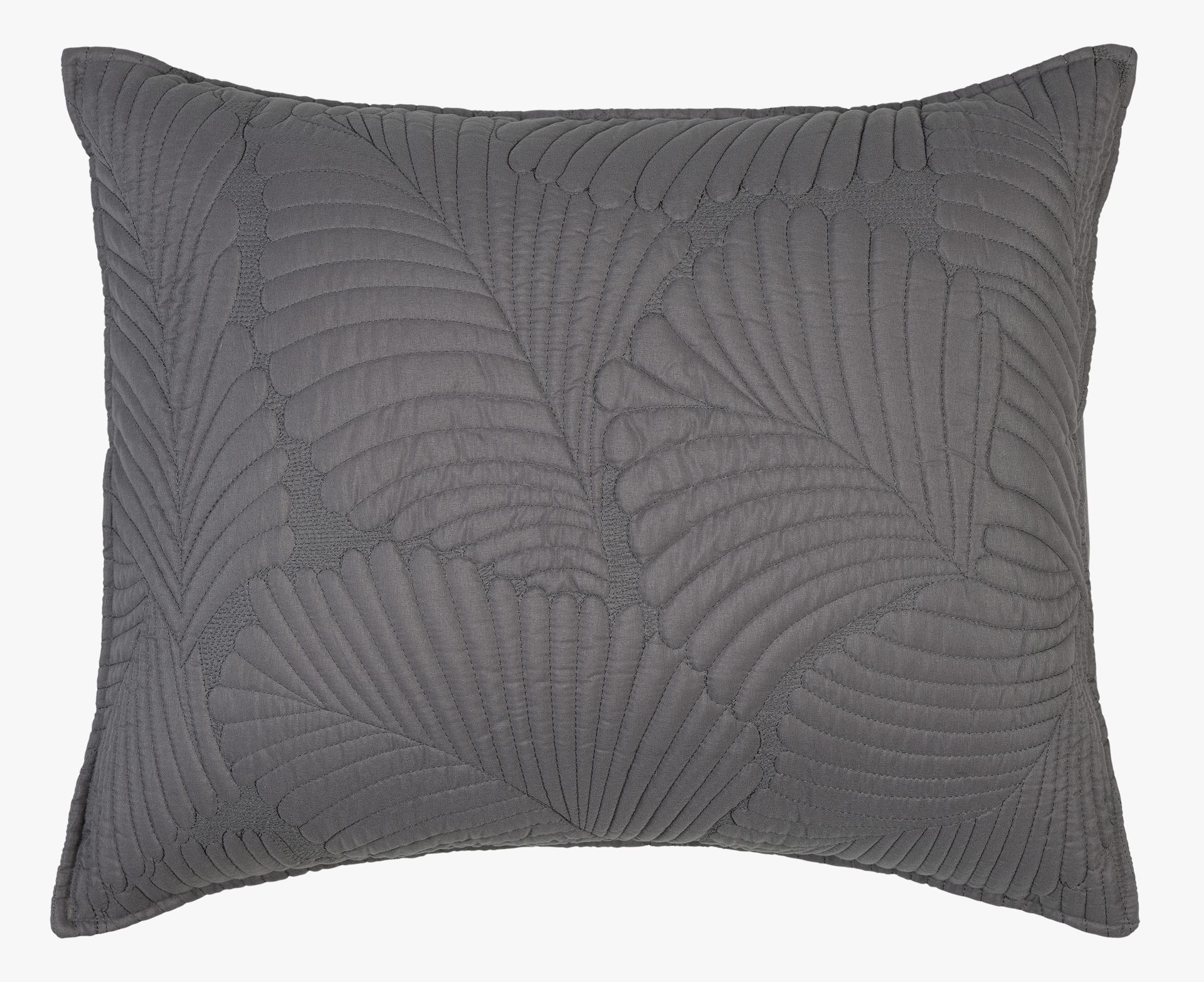 Padjapüür hall - 4