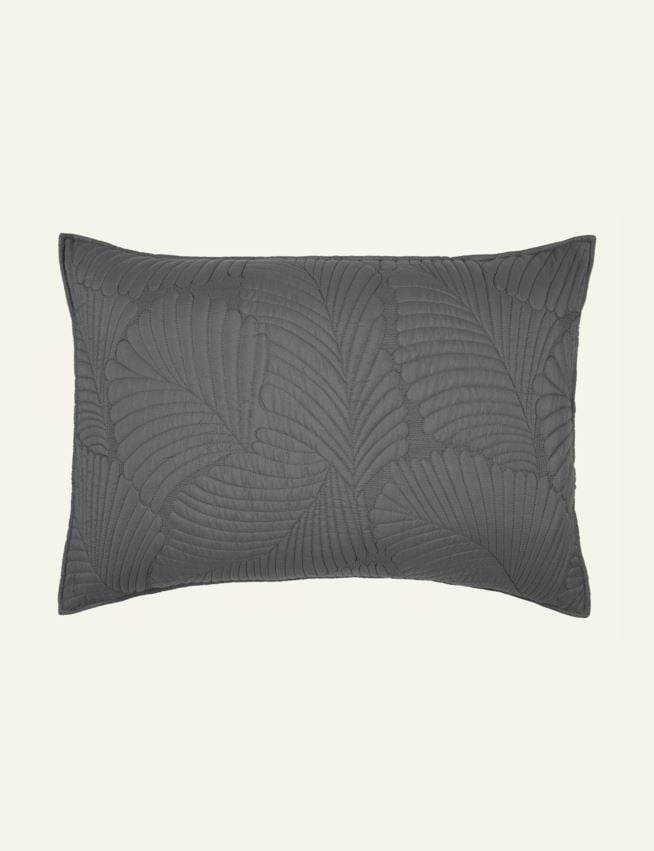 Padjapüür hall - 3