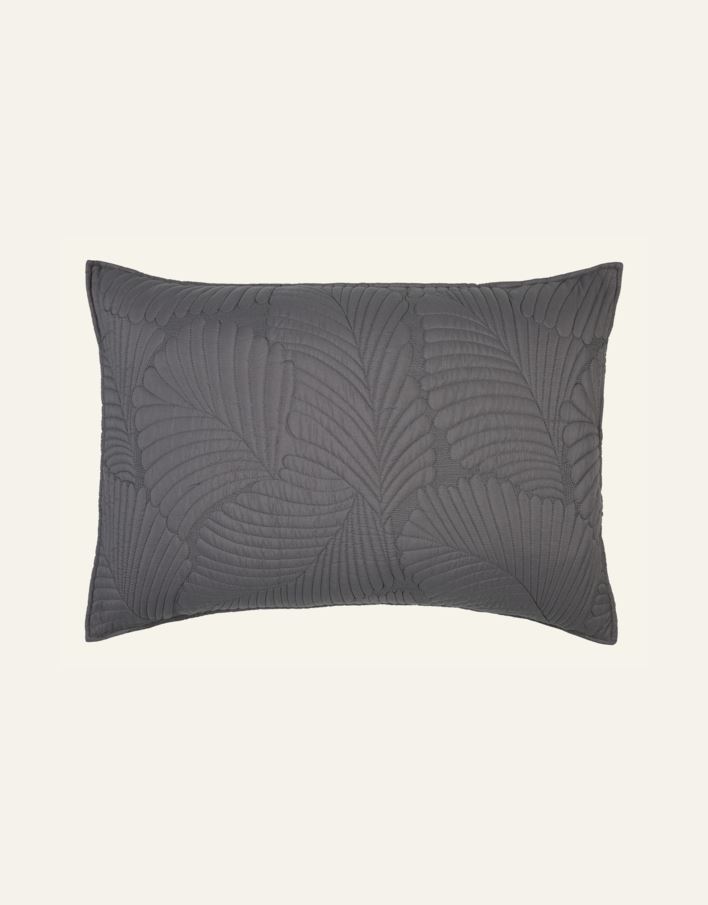 Padjapüür hall - 3