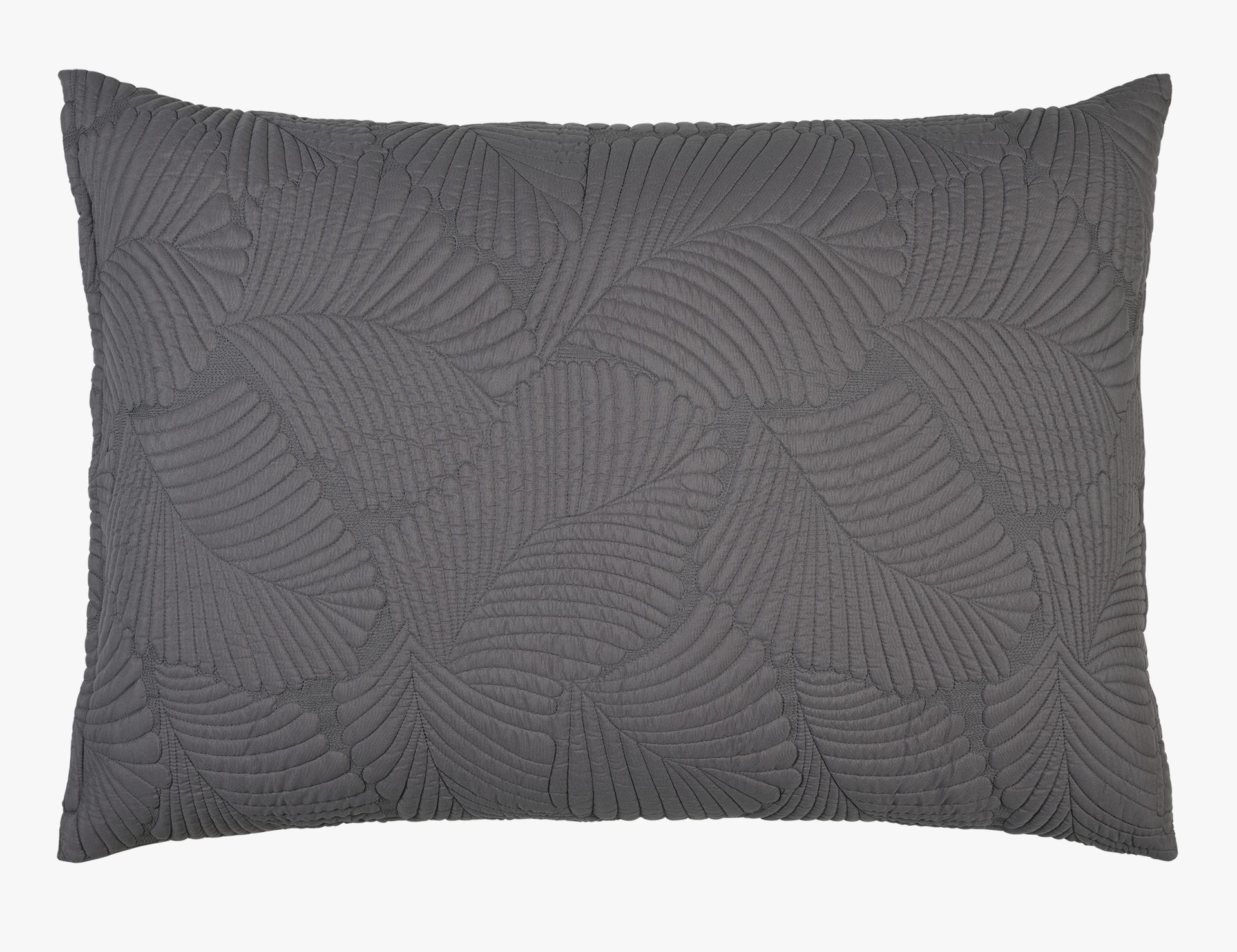 Padjapüür hall - 2