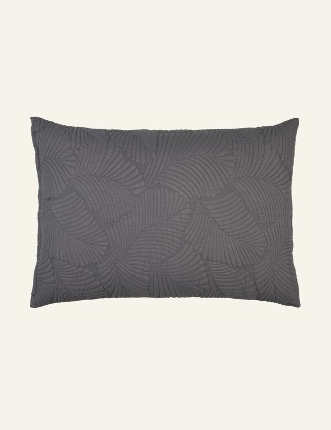 Padjapüür hall - 2