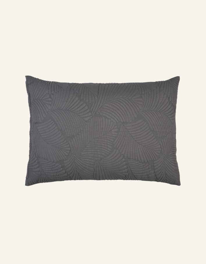 Padjapüür hall - 2