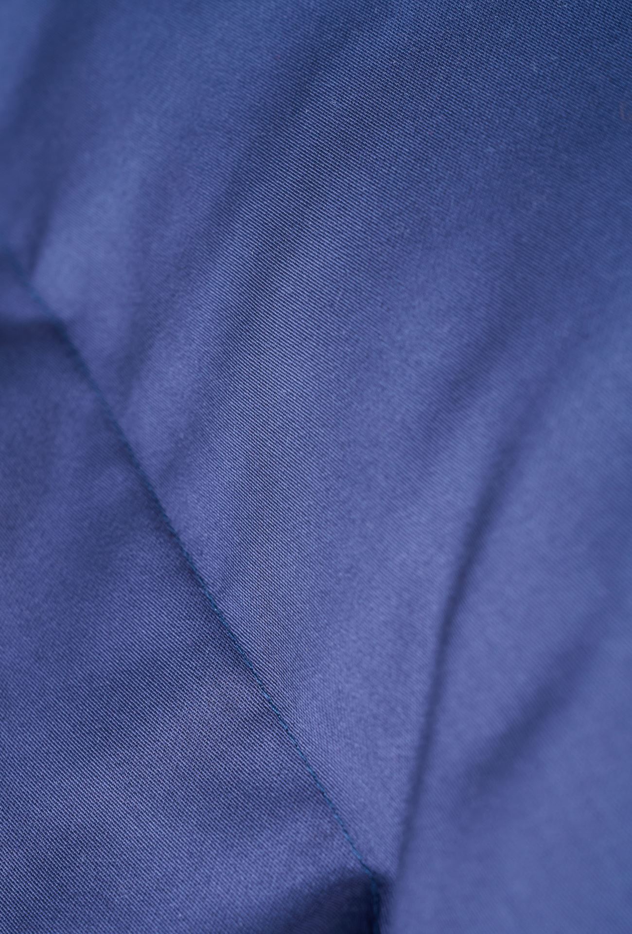 Padjapüür tumesinine - 2