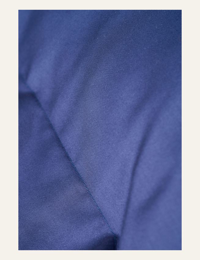 Padjapüür tumesinine - 2