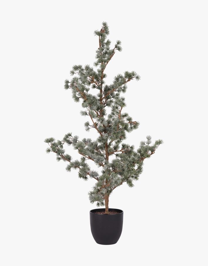 Jõulukuusk roheline - 50x50x113 cm roheline - 1