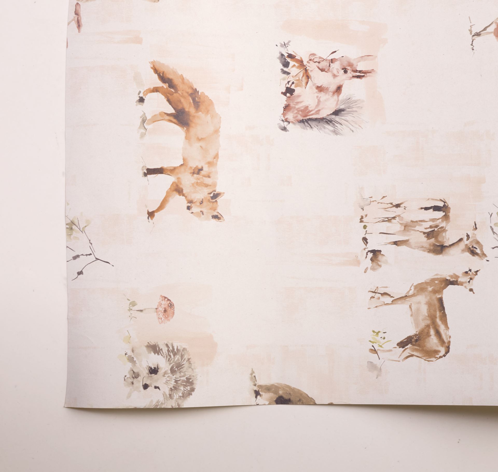 Tapeet mitmevärviline - 2