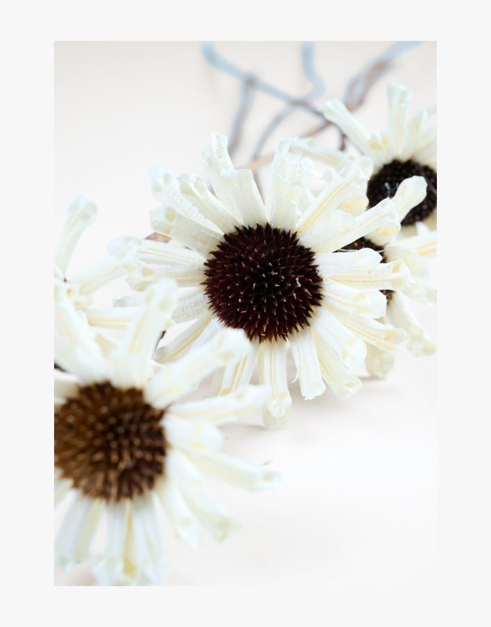 Lilled valge - 74 cm valge - 1